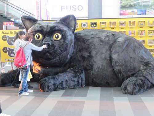 ぱくぱくブログ Jr高松駅に大きな黒ネコが
